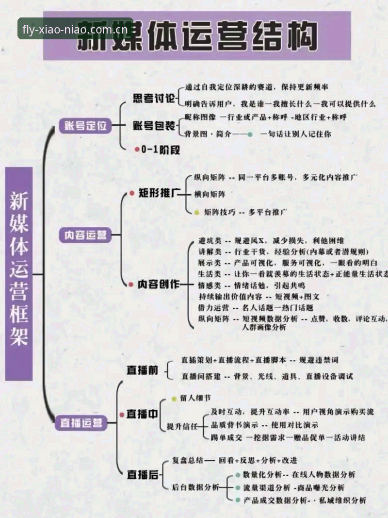 3个维度解析小鸟平台直播中国功能：从入门到精通的完整指南